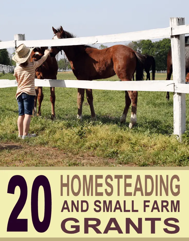 Homesteading Farm Grants