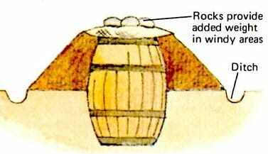 barrel-root-cellar